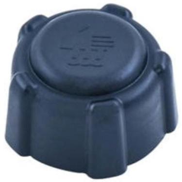 Imagem de Tampa do reservatório de água Renault Kangoo 2000 a 2023 - FLORIO