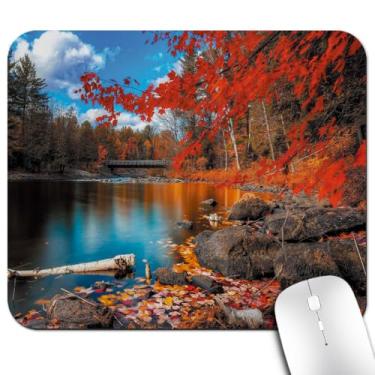 Imagem de Mouse pad Knseva Zoo Animals Selfie engraçado, preguiça Panda macaco guaxinim sapo fofo mouse pads, Multi Color 27, 27