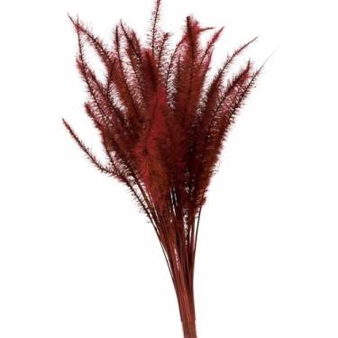 Imagem de Capim Rabo de Esquilo Marsala - Pense Flores