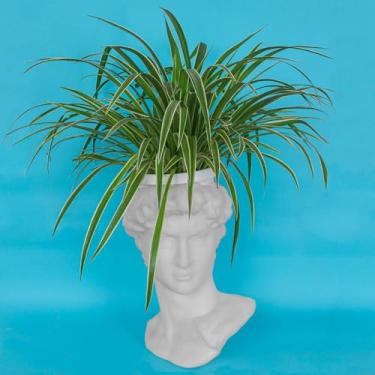 Imagem de Cachepot Escultura de Davi Michelangeloo - Vaso Decorativo Branco para Suculentas e Plantas - Réplica de Gesso/Resina Clássica