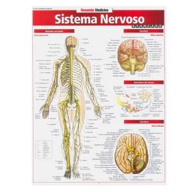 Imagem de Livro - Resumão Medicina - Sistema Nervoso Avançado