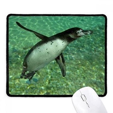 Imagem de Mouse pad Water Southern Penguin Science Nature Picture Tapete de borracha para jogos