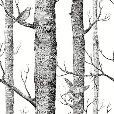 Imagem de Zeeko Papel de parede de árvore de bétula descascar e colar pássaros papel de parede preto e branco, papel de parede de esboço, 45 cm x 60 cm papel de parede autoadesivo não tecido papel de parede de contato à prova d'água