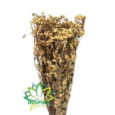 Imagem de Buque Flor Chuvisco Natural Desidratada Buque Flores Secas - Flora Ful