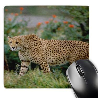 Imagem de 3dRose Mouse pad LLC 20 x 20 x 0,63 cm California San Diego Animal Park Cheetah Cindy Miller Hopkins (mp_88329_1)