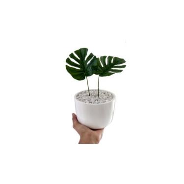 Imagem de Arranjo Decorativo Cachepot Artesanal Branco Com Planta Mini Costela d