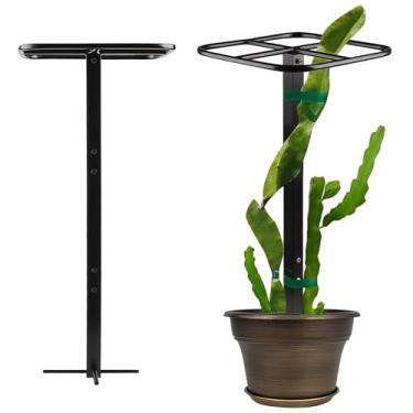 Imagem de LUMINFLY Treliça de pepino de metal para fruta do dragão, suporte vertical para plantas de jardim, ideal para escalada em jardins internos e externos