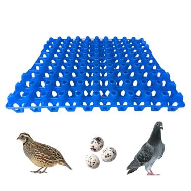 Imagem de Hen's Choice 90 bandejas de plástico para ovos para codornizes, pombos, pássaros. Caixa plana para incubadora (azul, pacote com 6)