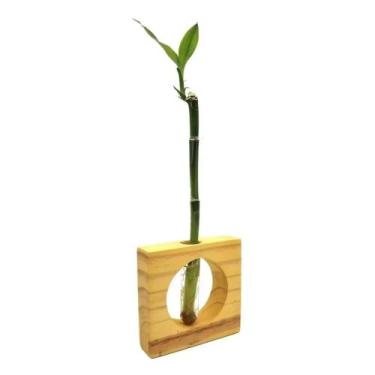 Imagem de Bambu da Sorte com Vaso de Vidro e Suporte Quadrado