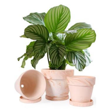 Imagem de INGOFIN Conjunto de 3 vasos de terracota de argila branca vermelha com orifícios de drenagem e pires de bandeja, vasos de jardim respiráveis para ambientes internos e externos, suculentas, cactos