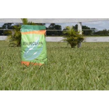 Imagem de Sementes De Grama Batatais 5 Kg - Realpecuaria