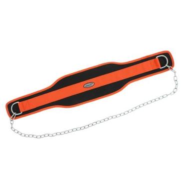 Imagem de Cinto com correte para puxada com anilhas - physicus