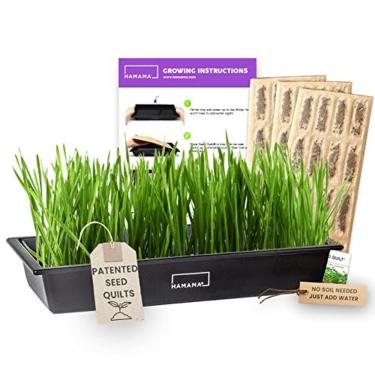 Imagem de HAMAMA Kit de cultivo de microgreens domésticos, cultive micro verduras frescas dentro de casa a cada semana, configuração de 30 segundos, basta adicionar água. Inclui bandeja de microgreens (bandeja padrão - 3 sementes de grama de trigo)