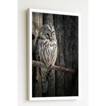 Imagem de Quadro Decorativo Foto Coruja Galho Seco - 70X50Cm - Quadros On-Line