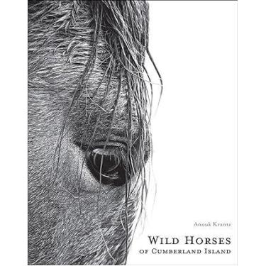 Imagem de Wild Horses Of Cumberland Island: Anouk Masson Krantz - INGRAM PUBLISH