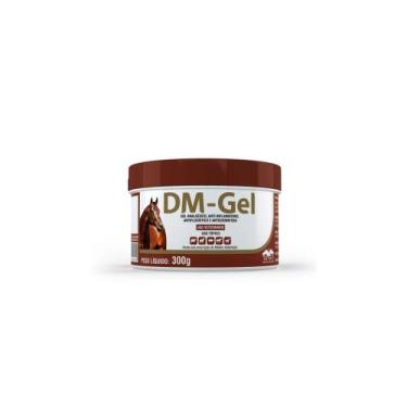 Imagem de Dm Gel Anti Inflamatório Para Cavalos E Cães 300g Vetnil