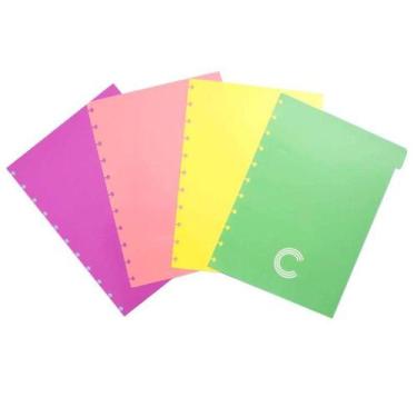 Imagem de Divisória grande 4 abas pastel Caderno Inteligente