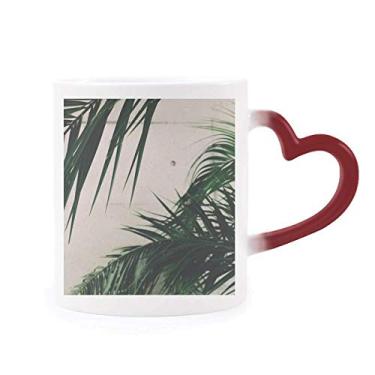 Imagem de Fotografia folha planta imagem natureza sensível ao calor caneca vermelha muda de cor grés