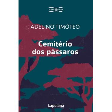 Imagem de Livro - Cemitério dos pássaros