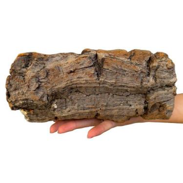 Imagem de Cork Bark Tube Pets  Hamster, Roedores, Cobras - Viva Flores  Presente