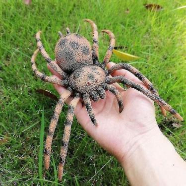 Imagem de Modelo de simulação de insetos Simulação de brinquedos Modelo de vida 