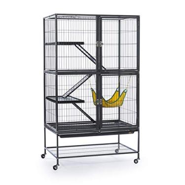 Imagem de Prevue Hendryx Feisty Ferret Home com suporte, martelo preto