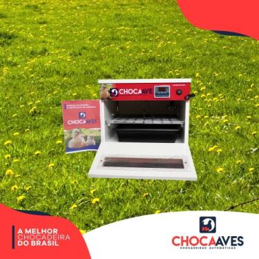 Imagem de Chocadeira 36 a 42 ovos automática e digital - Chocaaves, 110V