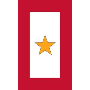 Imagem de Adesivo de bandeira de serviço militar American Vinyl 1 Gold Star (dado a todos servidos)