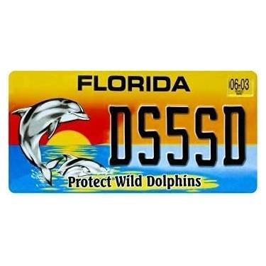 Imagem de OPO 10 - USA car License Plate - 30x15 cms Metal Replica: Florida (C13)