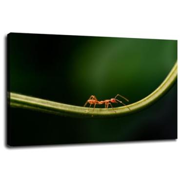 Imagem de 6 Formigas Arte de Parede Natureza Impressão em Tela Insetos Poster Para Decorações de Escritório Doméstico Com Moldura 76.2 cm x 50.8 cm