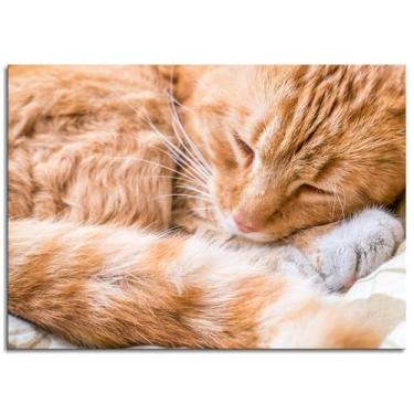 Imagem de 093 Impressão em tela de gato gengibre animal de estimação arte de parede para casa 1 peça decorações não ramificadas 68.6 cm x 50.8 cm