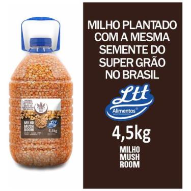 Imagem de Milho Mushroom Para Pipoca Gourmet 4,5kg Super Grão - NoBrand