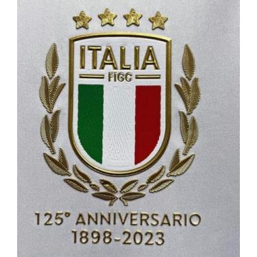 Imagem de Italy Italia Shield 125 anos time futebol brasão patch Iron-ON para camisetas masculinas jersey