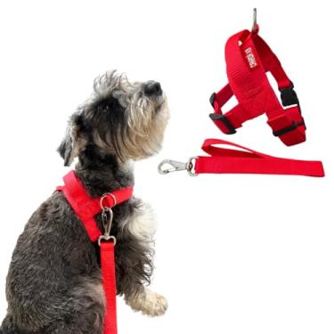 Imagem de Coleira Peitoral Anti-puxão com Guia para Cão de Pequeno Porte - Canadá K9 (vermelho)