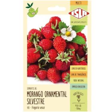 Imagem de Sementes de Morango Ornamental Silvestre ISLA