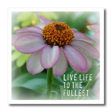 Imagem de 3dRose Live Life Pink Zinnia Citações inspiradoras flores-ferro na transferência de calor, 25,4 cm, para material branco (ht_31420_3)