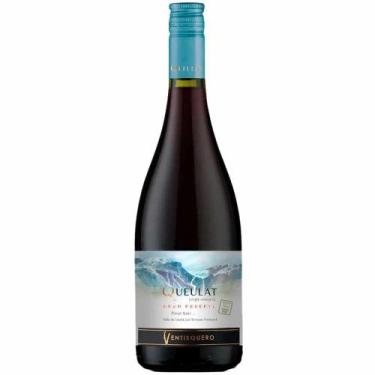 Imagem de Vinho Tinto Ventisquero Queulat Gran Reserva Pinot Noir 750ml