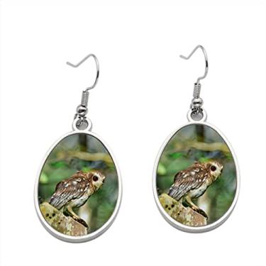 Imagem de Brinco de coruja com pernas nuas ou coruja guicho cubana Gymnoglaux Lawrencii - Brincos pendentes para meninas - Presente de festa de aniversário dos namorados