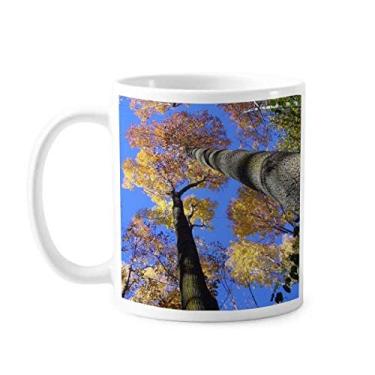 Imagem de Red Leaves Science Nature Scenery Caneca Cerâmica Café Porcelana