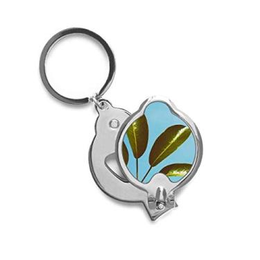 Imagem de Cortador de unhas Blue Sky Leaf Plant Picture Nature Finger Nail Tesoura Cortador de aço inoxidável