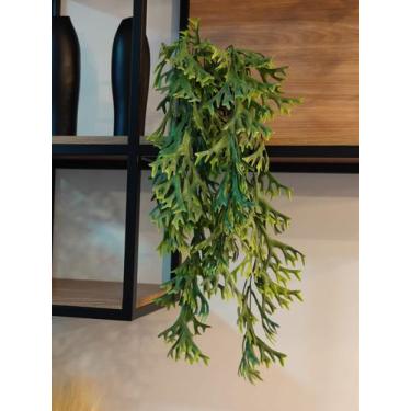 Imagem de Arranjo com o vaso 2 plantas folhagem suculentas 65cm verde - La Caza 