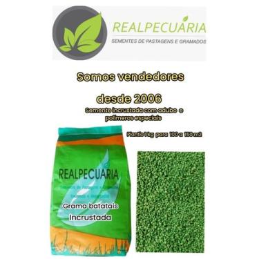 Imagem de Sementes De Grama Batatais Incrustada 1 Kg semente para jardim - Realp
