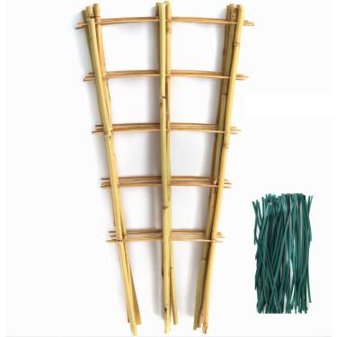 Imagem de SWANGSA Treliça de Bambu de 6 Pacotes de 24" para Plantas Trepadeiras, Treliça de Planta de Bambu Em Forma de Leque Treliça de Tomate de Pepino com Laços Torcidos de 50 Unidades para Vasos de Plantas