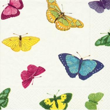 Imagem de Conjunto de 2 papillon com 20 guardanapos de papel para almoço, pérola