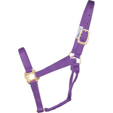 Imagem de Hamilton Cabresto de nylon de 2,5 cm de qualidade para cavalos de 800 a 500 kg, média, lavanda