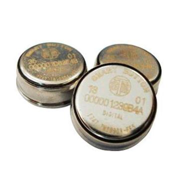 Imagem de IButton para Vigia Bastão