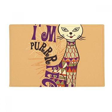 Imagem de DIYthinker I'm Perfect Slogan Tapete para porta de banheiro com desenho de gato colorido antiderrapante