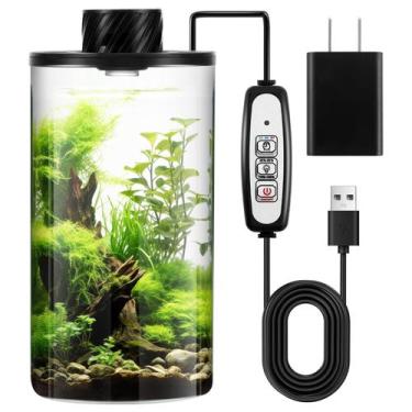 Imagem de Kit de terrário de plantas de vidro Maxdot 20x10cm com adaptador de lu