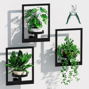 Imagem de ALACOO Suporte de parede para plantas, porta-retratos de metal para plantas de interior, prateleira de parede para janela/sala de estar/quarto/entrada/jardim, tesouras de jardim gratuitas (quadrado