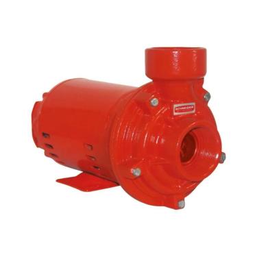 Imagem de Motobomba Centrifuga Schneider BPI-92 S R2 1/2 1CV Trifásico